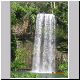 Atherton Tablelands - Millaa Millaa Falls.jpg